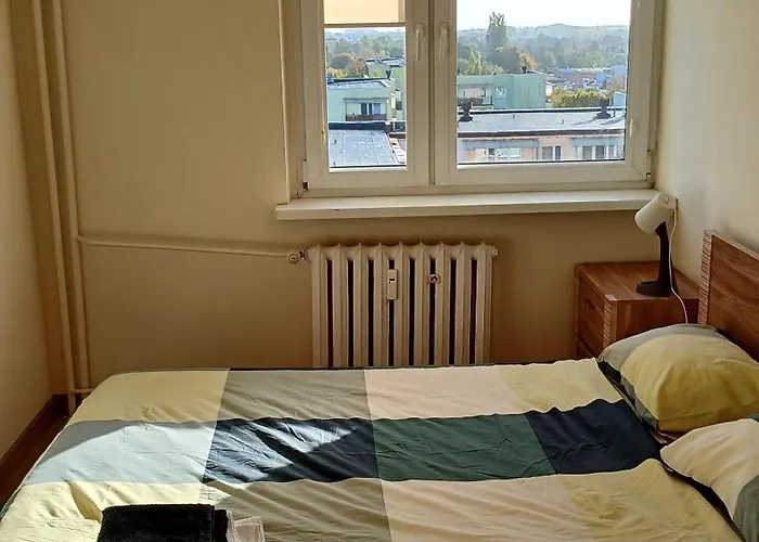 7 Pietro * ビィドゴシュチュ