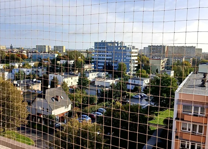 7 Pietro ビィドゴシュチュ